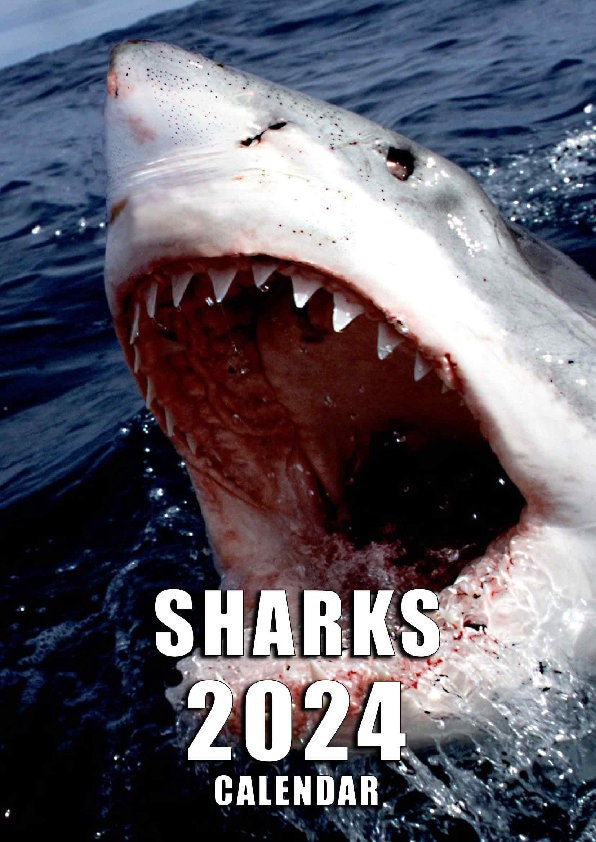 Sharks Calendar 2024 Etsy
