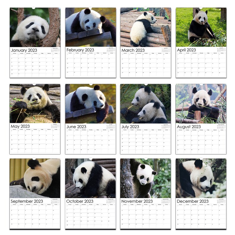 Panda Calendar 2024 Etsy