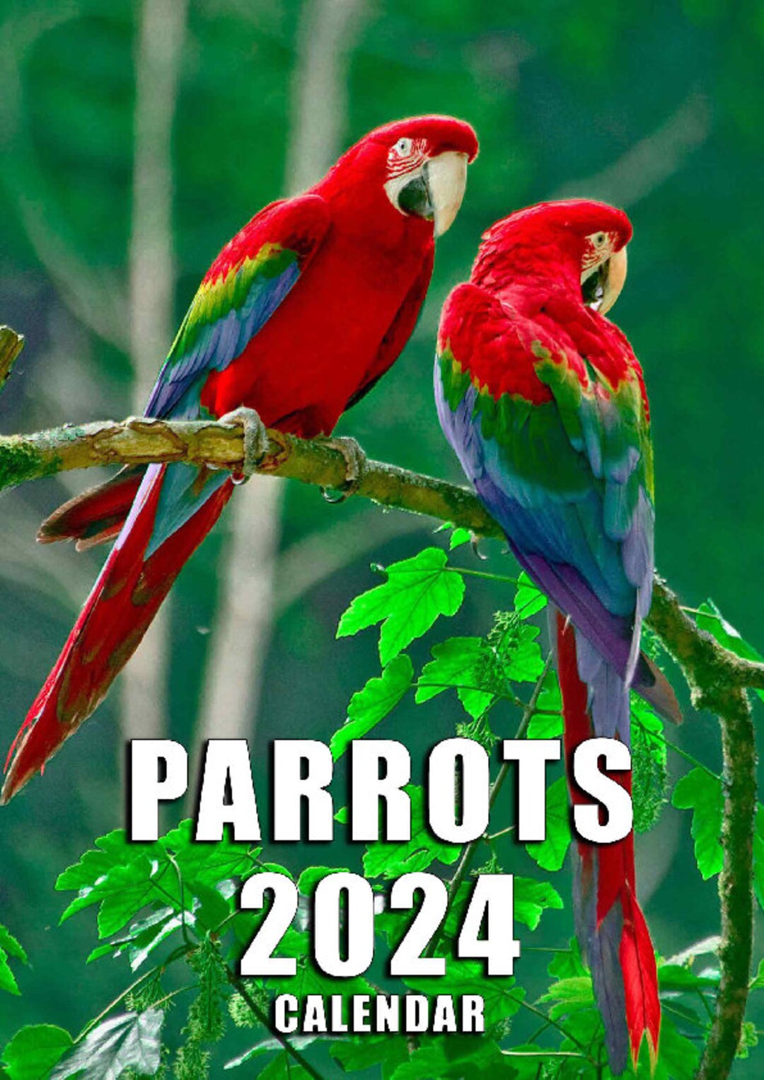 Colourful Parrots Calendar 2024 Etsy