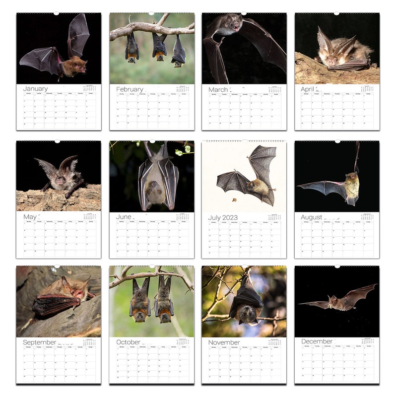 Bats Calendar 2024 Etsy