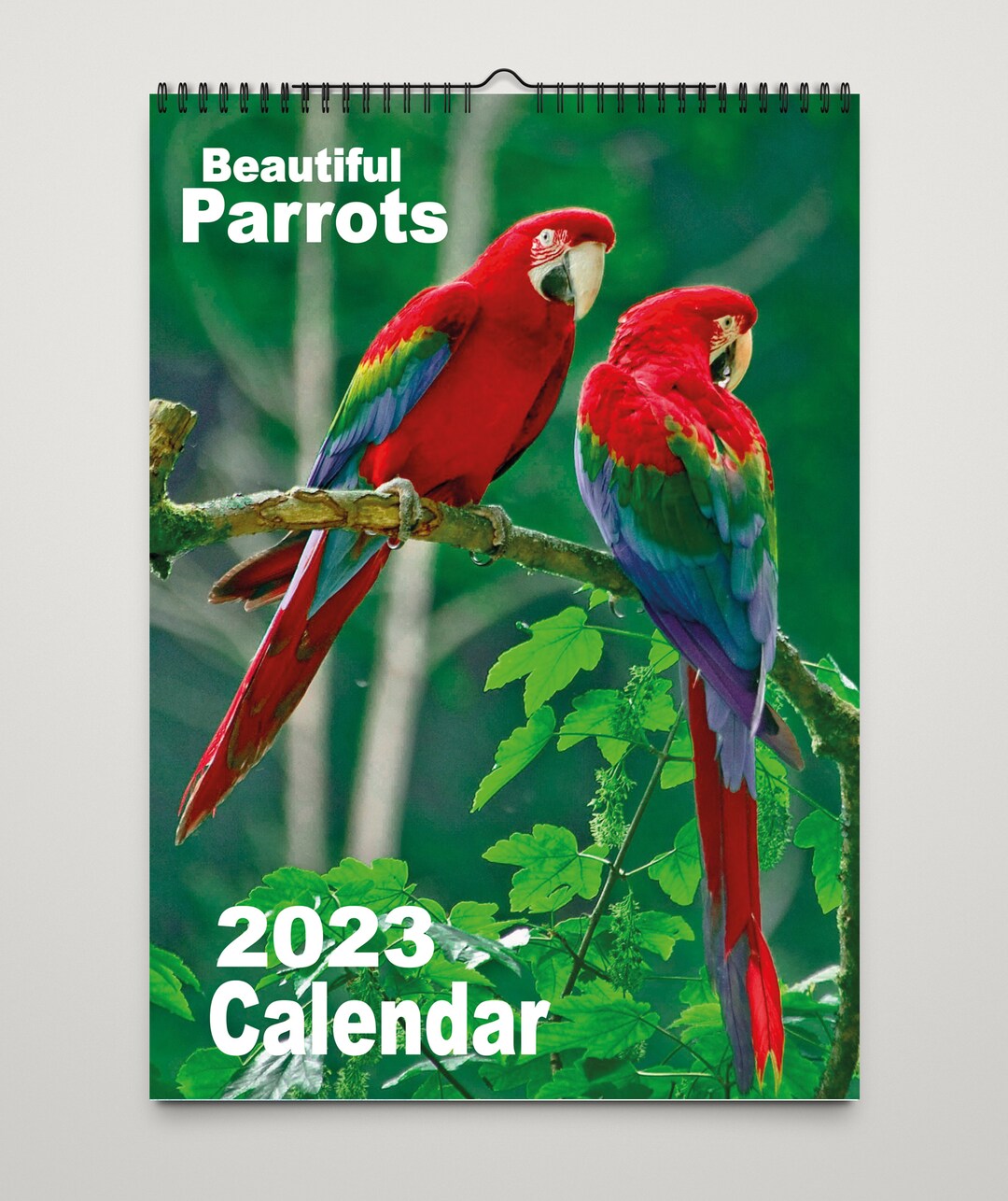 Colourful Parrots Calendar 2023 Personalised Message on Front Etsy