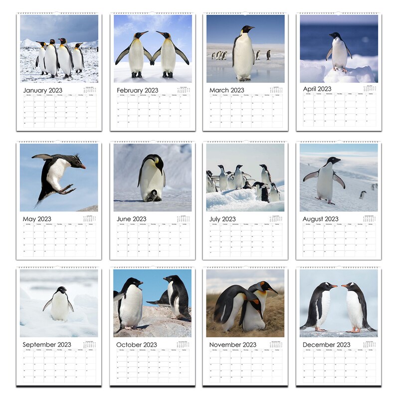 Penguins Calendar 2024 Etsy