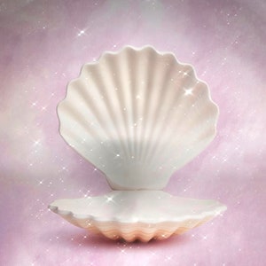 May include: A white ceramic seashell with a textured, ribbed interior. The shell is open and the inside is empty.