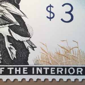 Pode incluir: Um selo postal americano vintage que apresenta uma ilustra&ccedil;&atilde;o em preto e branco de um pato com uma ilustra&ccedil;&atilde;o dourada e marrom de grama no fundo. O selo &eacute; branco com um $3 azul impresso no canto superior direito. O selo tem uma borda preta com o texto "DEPARTMENT OF THE INTERIOR" impresso na parte inferior.