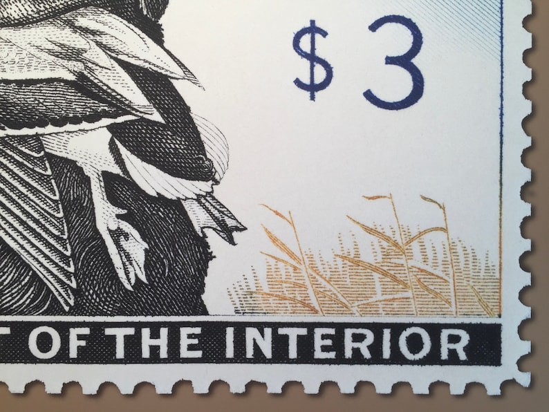 Pode incluir: Um selo postal americano vintage que apresenta uma ilustra&ccedil;&atilde;o em preto e branco de um pato com uma ilustra&ccedil;&atilde;o dourada e marrom de grama no fundo. O selo &eacute; branco com um $3 azul impresso no canto superior direito. O selo tem uma borda preta com o texto "DEPARTMENT OF THE INTERIOR" impresso na parte inferior.
