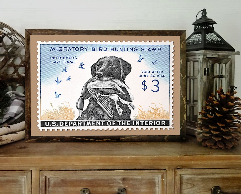 Pode incluir: Um selo vintage do Departamento do Interior dos Estados Unidos que apresenta um Labrador Retriever preto segurando um pato. O selo diz "Migratory Bird Hunting Stamp", "Retrievers Save Game", "Void After June 30, 1960", e "$3".