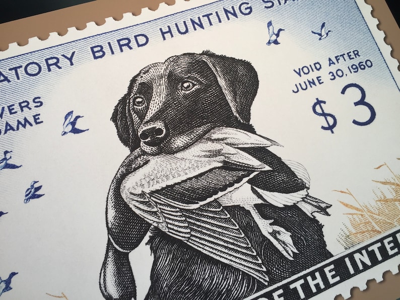 Pode incluir: Uma ilustra&ccedil;&atilde;o em preto e branco de um c&atilde;o segurando um pato na boca. O c&atilde;o &eacute; um Labrador Retriever. A imagem est&aacute; em um selo vintage com o texto "ATORY BIRD HUNTING", "VERS", "AME", "VOID AFTER JUNE 30, 1960", "$3" e "E THE INTE".