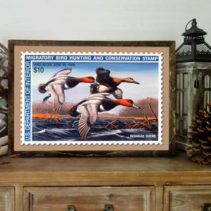 Duck Hunting Art, 1987 Duck Stamp Poster Print, 18x12