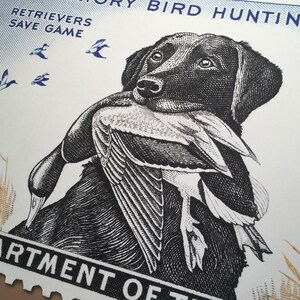 Pode incluir: Uma ilustra&ccedil;&atilde;o em preto e branco de um Labrador Retriever preto segurando um pato na boca. O selo apresenta o texto "Retrievers Save Game" e "Bird Hunting Stamps".