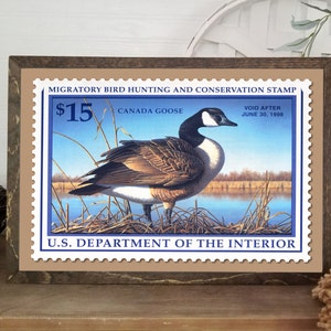 Duck Hunting Art, 1997 Duck Stamp Poster Print, 18x12