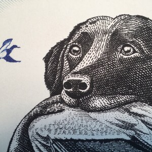 Pode incluir: Ilustra&ccedil;&atilde;o em preto e branco da cabe&ccedil;a de um c&atilde;o com um p&aacute;ssaro voando acima. O c&atilde;o est&aacute; olhando para a direita e tem uma express&atilde;o triste.
