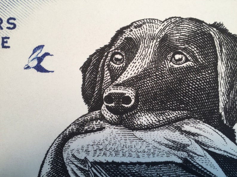 Pode incluir: Ilustra&ccedil;&atilde;o em preto e branco da cabe&ccedil;a de um c&atilde;o com um p&aacute;ssaro voando acima. O c&atilde;o est&aacute; olhando para a direita e tem uma express&atilde;o triste.