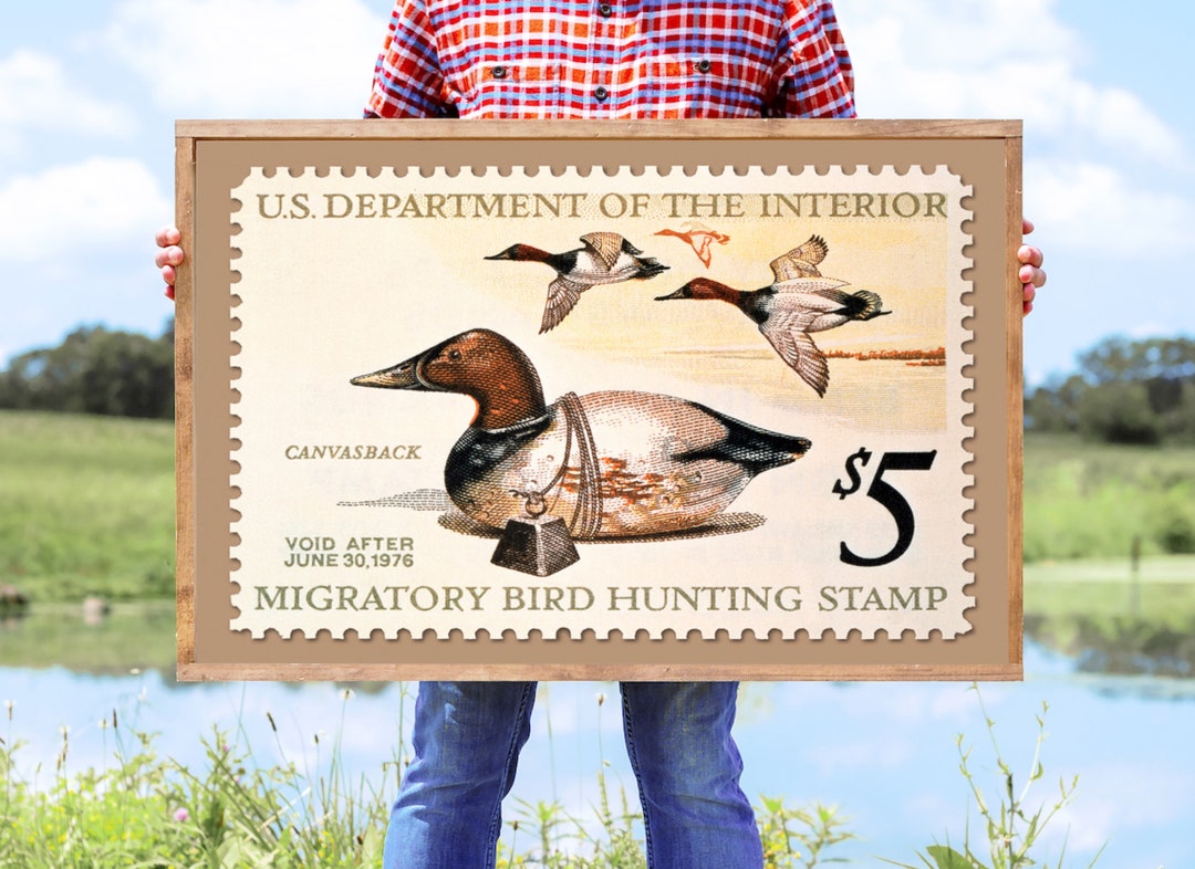 Duck Hunting Art, 1975 Duck Stamp Poster Print, 36x24 Etsy
