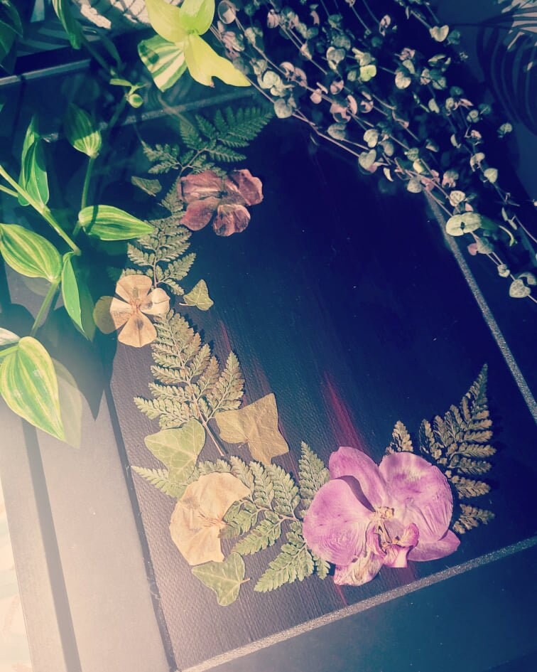 Composition Autour d'une Orchidée Séchée, Herbarium, Herbier Encadré, Fait-Main en France