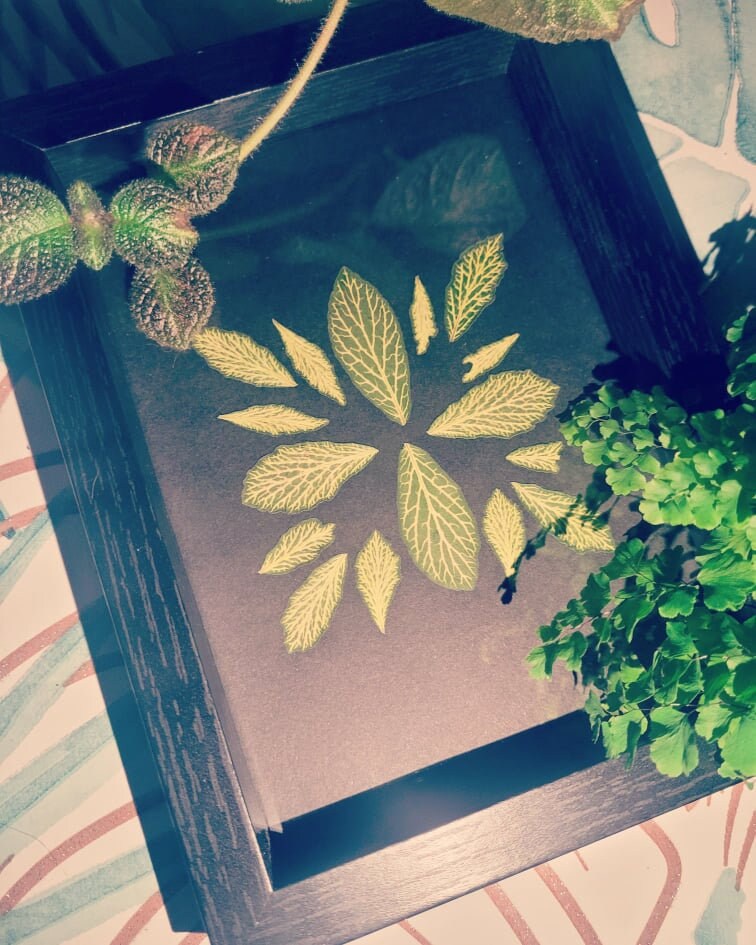 Herbier de Fittonias, Herbarium, Herbier Encadré, Fait-Main en France