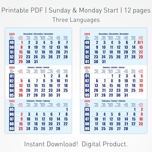 2025 Printable Wall Calendar for Spiral Bound with 3 Months per Page and 3 Languages, Large Wall Calendar for Hanger Hook