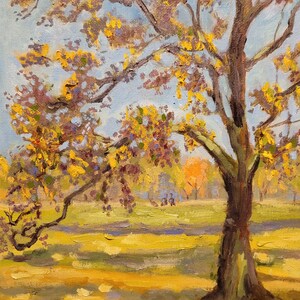 Arbre Automne Arbre Orange Photo Ensoleillé Peinture Originale Dans Parc