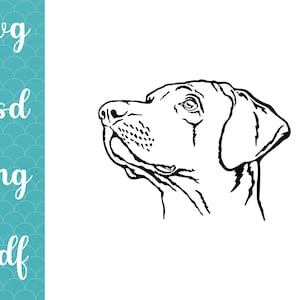 Vizsla svg / Weimaraner svg / Vektor / Schnitt Datei / Portrait / Vizsla Vektor / Grafik / Cricut Dateien / peek a boo dog