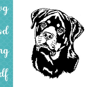 Rottweiler späht auf der Vorderseite