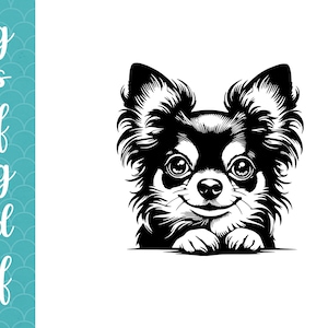 Chihuahua Dog Face SVG, Cute Chihuahua Breed Head Clipart, Pet Memorial Sublimation PNG, Dog Lover Chihuahua Silhouette SVG