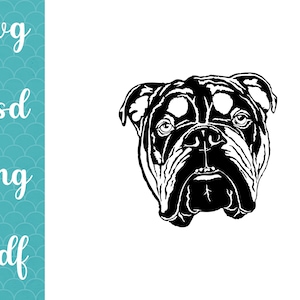Bulldog Svg Clipart, raza de perro svg, imagen de cara de Bulldog Inglés, archivo cnc de perro png