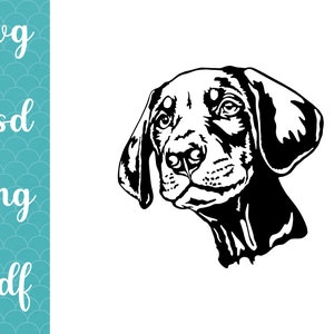 Paquete de diseños de Doberman Pinscher, cachorro, perro, SVG, PNG, descarga digital, imágenes para uso comercial, Cricut, láser, grabado