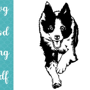 Border Collie Svg png, agilité chien Clipart sticker autocollant Collie Cut fichier cricut