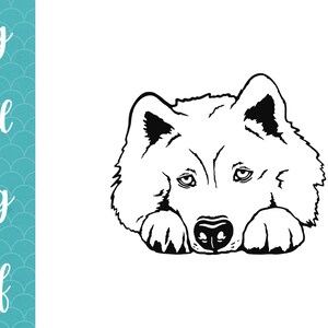 MIRANDO SAMOYED SVG Clipart archivos vectoriales para Cricut Nordic Dog raza siberiana perro loco mamá amante perro blanco