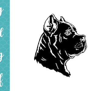 Cane Corso dog Mastiff SVG decal Cut File mastiff dog lover Sublimation png Vector Clipart