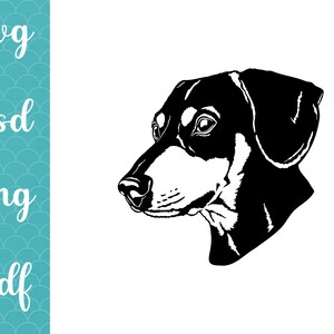 Chemise pour chien Teckel Teckel Wiener png, silhouette svg chiens Cricut coupe fichier Clipart vectoriel réaliste