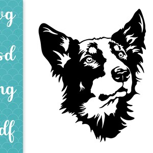 LOOK BORDER COLLIE Svg, look Border Collie clipart, Collie amante de la raza de perro mamá loca archivos svg para Cricut png