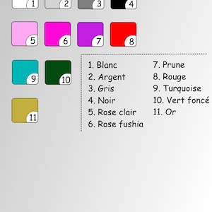 Autocollant voiture personnalisé : bébé a bord avec prénom, 11 couleurs . Stickers bébé pour une voiture personnalisé image 7