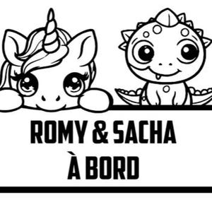 Personalized car sticker: baby on board with first name. 7 models, 11 colors. Baby stickers for a personalized car.