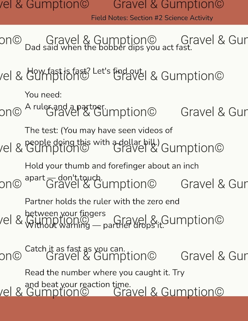 May include: A white educational document titled Gravel & Gumption Field Notes: Section #2 Science Activity. The text provides instructions for a reaction time test using a ruler and a partner, explaining how to catch the ruler to measure speed.