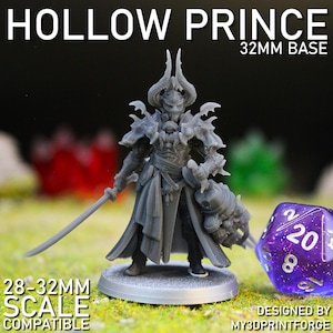 Hollow Prince Miniature | Thronebound Warlord Resin Model for Wargames & RPGs | 3D Printed Commander Figure