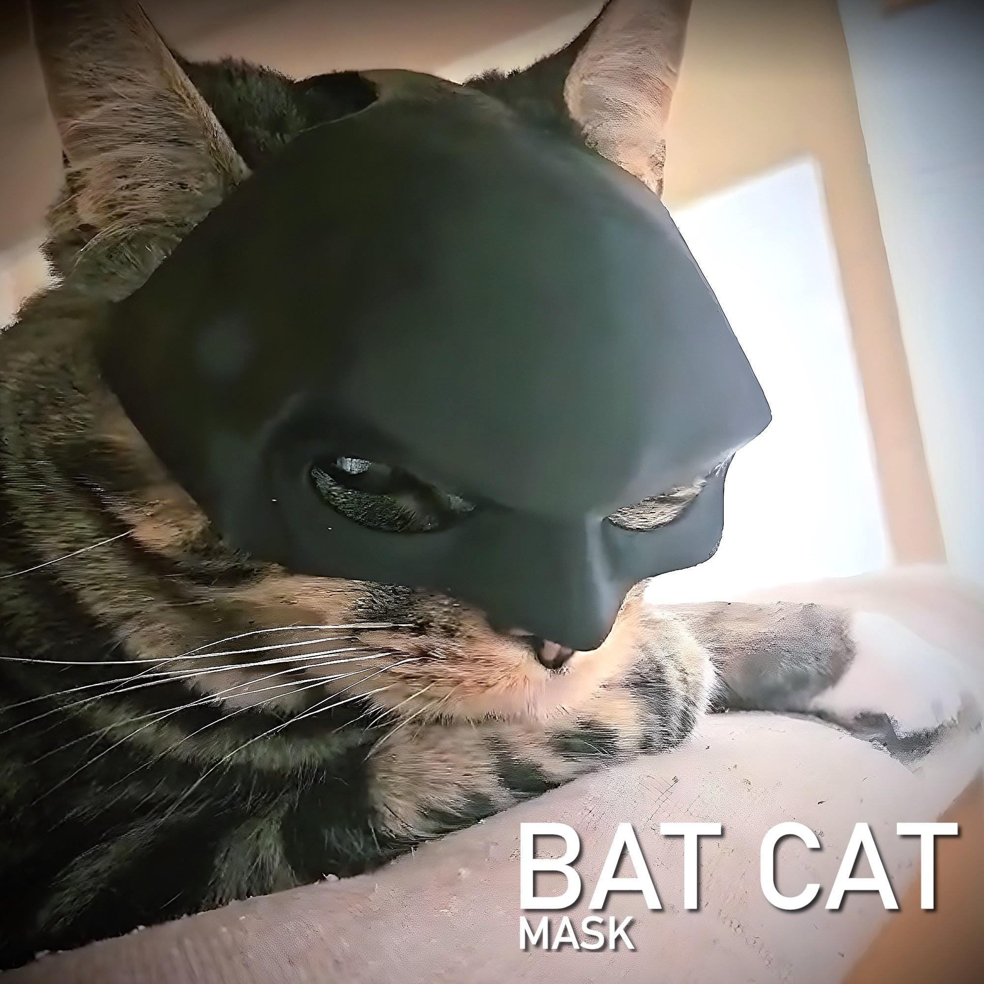 What Happened to DCAU Catwoman After Batman: The Animated Series?, image size:2000x2000