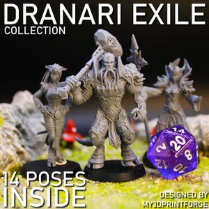 Dranari Exiles | 3D Printed Celestial Warrior Miniatures | 28–32mm Resin Fantasy Figures for RPGs & Wargames