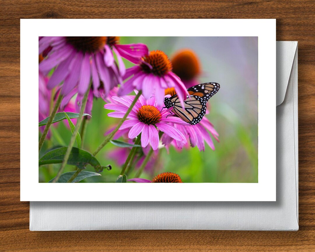 Spring Flowers Cards - Etsy