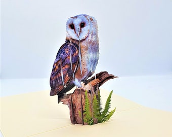 Handmade 3D pop up card barn owl birthday anniversary father&#39;s
