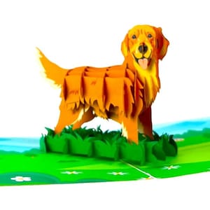 Carte pop-up 3D faite main anniversaire chien labrador amitié vierge