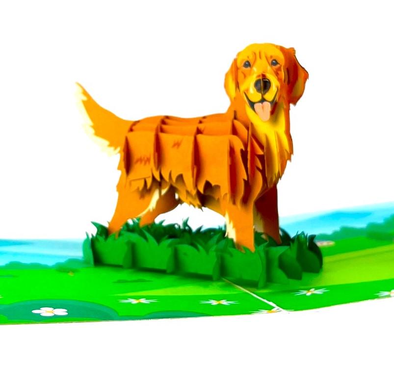 YianHien Pop Up Birthday Cards For Women Daffodils UK, 12 Inch 3D - View #10