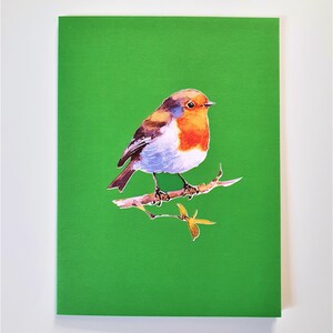 Handmade 3D Popup Card Robin Birthday Anniversary Xmas Good Luck - Etsy