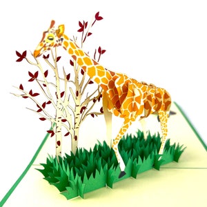 Handmade 3D popup card Giraffe birthday Valentines day zoo wildlife safari Africa