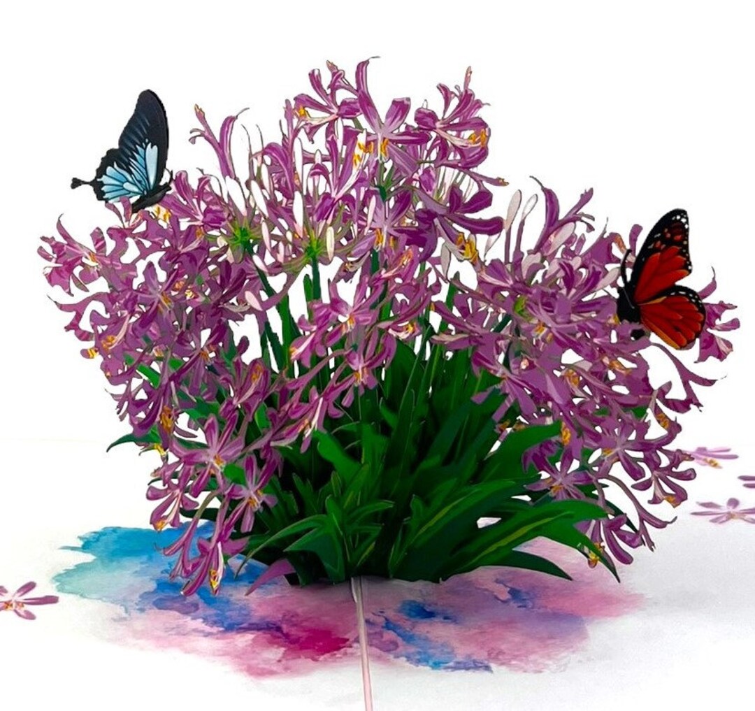 3D Popup Card Lily Birthday Anniversary Wedding New Home Sympathy ...