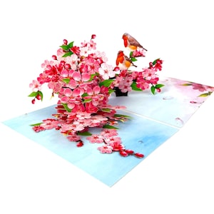 Handgemachte 3D Popup Karte Rotkehlchen Kirschblüte Geburtstag Muttertag Gruß Blume