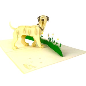 Handgemaakte 3D pop-up kaart Labrador hond verjaardag blanco vriendschap