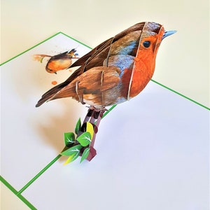 Handmade 3D Popup Card Robin Birthday Anniversary Xmas Good Luck - Etsy