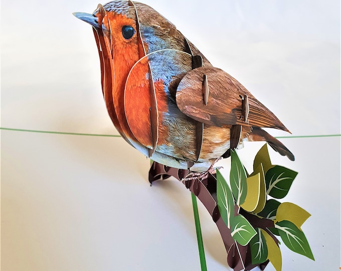 Handmade 3D Popup Card Robin Birthday Anniversary Xmas Good Luck - Etsy