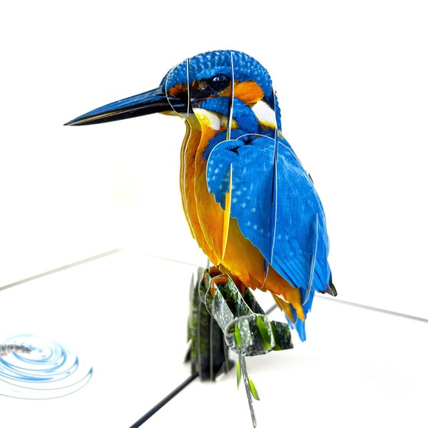 Handmade 3D popup card Kingfisher birthday anniversary mother's bird pond lake
