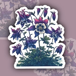 Può includere: Un adesivo con un gruppo di fiori di aquilegia viola e blu con centri bianchi. I fiori sono rappresentati in uno stile di illustrazione botanica vintage.